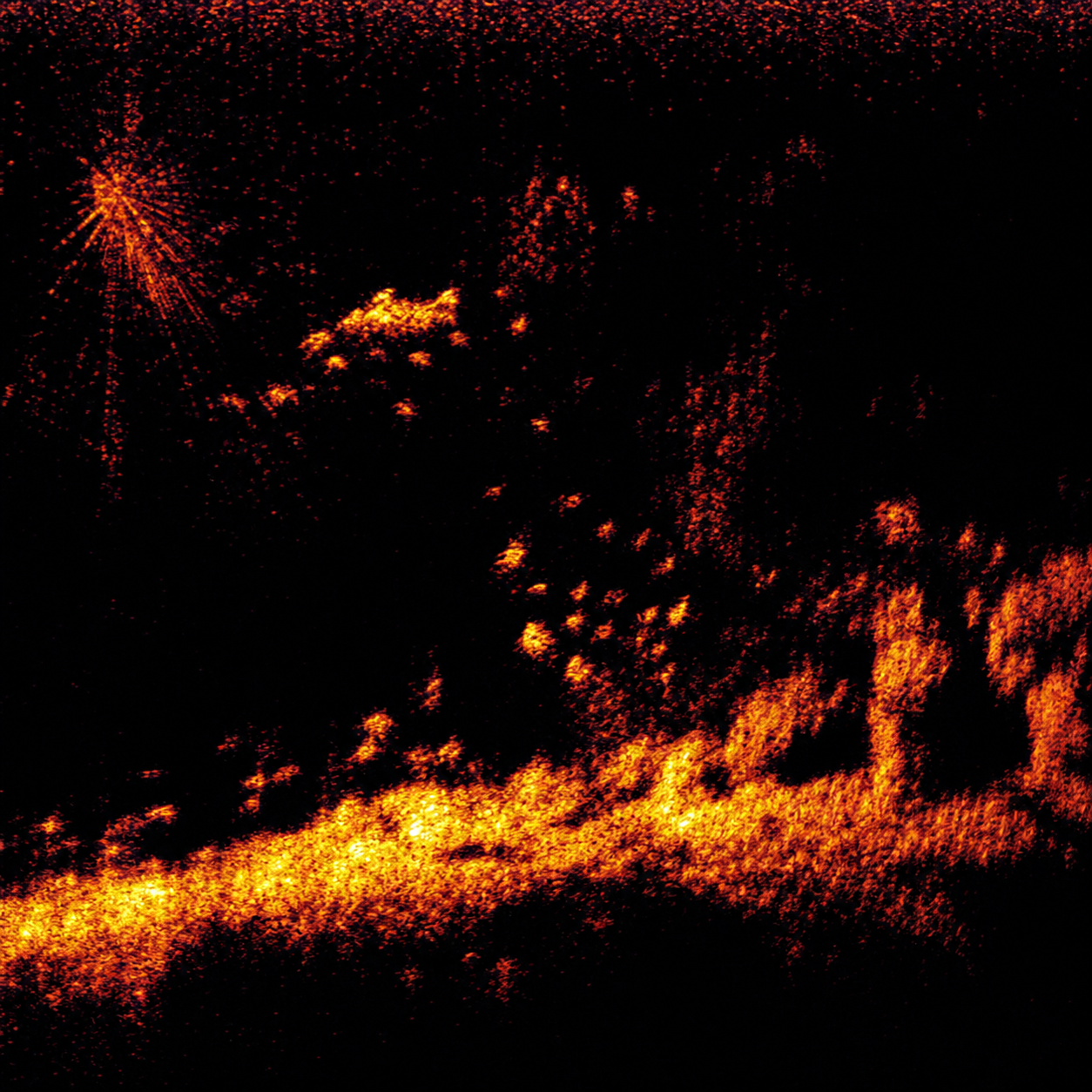 Premium boat-mounted sonar side scan visualization