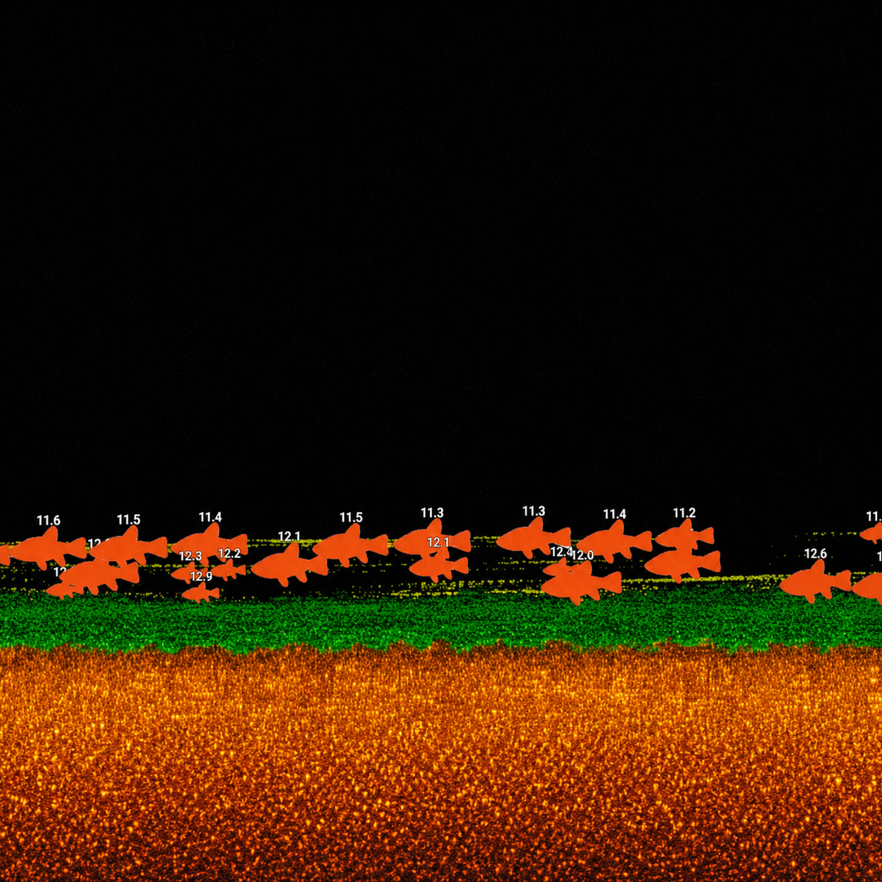 Portable sonar visualization with fish arches and bottom contour